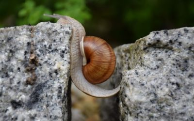 Perché non crei contenuti: ecco le paure che ti bloccano